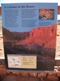 Snow Canyon State Park, St. George, Utah (Bild: Arno Wietschorke)